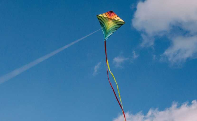 Delhi Discoms Advise Against Using Kites With Metal-Coated Strings
