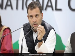 "Extra-Constitutional Authority": Ex-Congress Leader On Rahul Gandhi "Extra-Constitutional Authority": Ex-Congress Leader On Rahul Gandhi