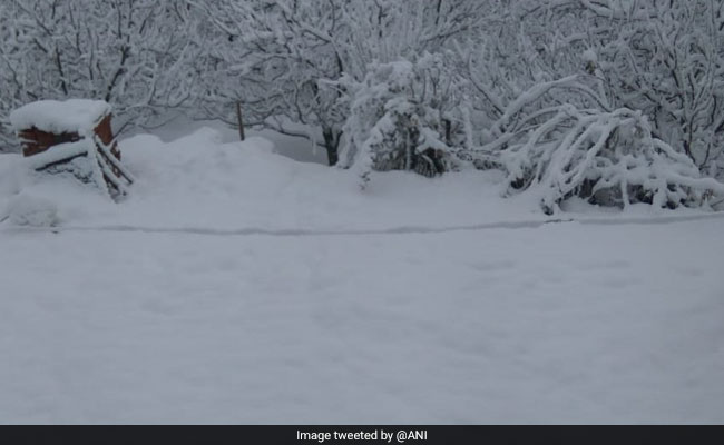 Himachal Pradesh Likely To Experience Snow, Rainfall In Next 4 Days