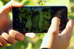 Honor View 20: Full Review Honor View 20: Full Review