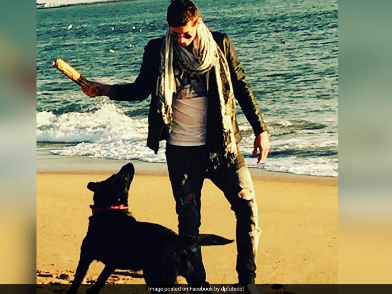 As His Dog Patiently Awaits, The Wreckage Of Emiliano Sala's Plane Is Found