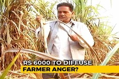 Farmers In UP, Punjab Find Government's Budget Announcement Inadequate Farmers In UP, Punjab Find Government's Budget Announcement Inadequate