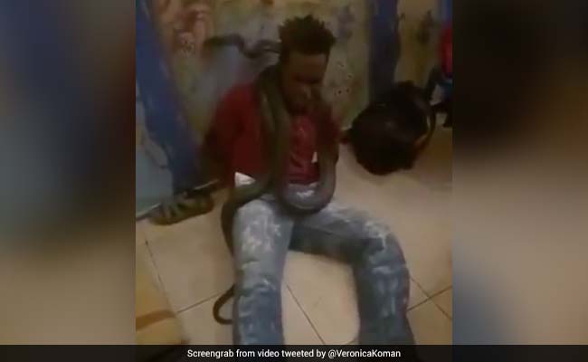UN Condemns Police Violence In Indonesia After Snake Used To Scare Suspect