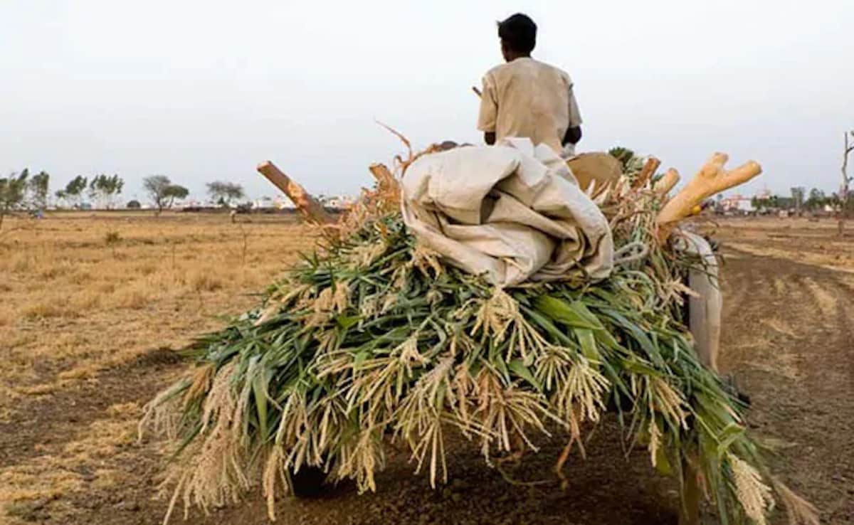 Madhya Pradesh Minister's "Fake Farmers" Swipe Draws Kamal Nath Response