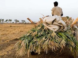 Madhya Pradesh Minister's "Fake Farmers" Swipe Draws Kamal Nath Response