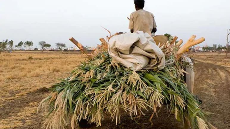 Madhya Pradesh Minister's "Fake Farmers" Swipe Draws Kamal Nath Response