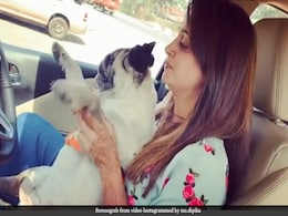 दीपिका कक्कड़ ने कार में डॉगी संग कुछ यूं किया डांस, Video इंटरनेट पर हुआ वायरल दीपिका कक्कड़ ने कार में डॉगी संग कुछ यूं किया डांस, Video इंटरनेट पर हुआ वायरल