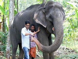 India's Oldest Captive 'Granny' Elephant Dies At 88 India's Oldest Captive 'Granny' Elephant Dies At 88