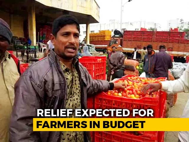 In Budget 2019, Farmers Hopeful For Loan Waiver, Direct Cash Transfer
