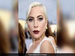 "My Heart Is Sick": Lady Gaga Offers $500,000 For Stolen Dogs "My Heart Is Sick": Lady Gaga Offers $500,000 For Stolen Dogs