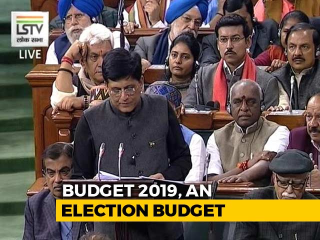 "Broke Back Of Back-Breaking Inflation": Piyush Goyal In Interim Budget