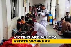 155 Dead; Assam Lawmaker Alleges Officials Linked With Hooch Sellers 155 Dead; Assam Lawmaker Alleges Officials Linked With Hooch Sellers