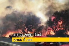 कर्नाटक के बांदीपुर टाइगर रिजर्व के वन क्षेत्र में आग कर्नाटक के बांदीपुर टाइगर रिजर्व के वन क्षेत्र में आग