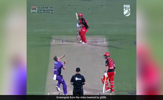 टी20 के इतिहास का सबसे खराब ओवर, इस गेंदबाज ने एक गेंद पर दे डाले 17 रन, देखें VIDEO