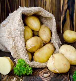 Potato Peel Benefits: बेहतरीन फायदों से भरे हैं आलू के छिलके, फेंकने से पहले जान लें इनके गजब स्वास्थ्य लाभ