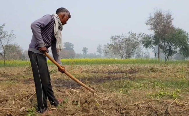 Ground Report: What Rs 6,000 Dole Means To India's Poorest Farmers