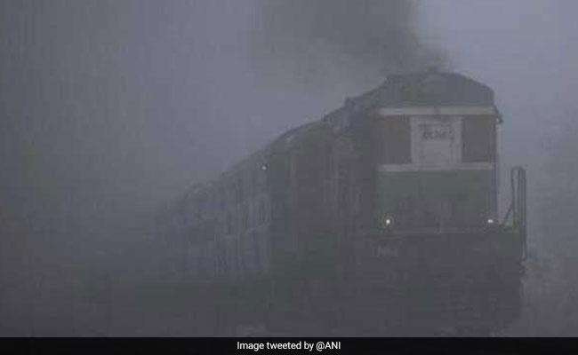 Haryana's Hisar Freezes At 0.2 Degree As Cold Wave Grips North India