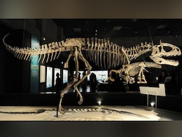 Were Dinosaurs Killed Off By Asteroid Or Volcanoes? Scientists Debate Were Dinosaurs Killed Off By Asteroid Or Volcanoes? Scientists Debate