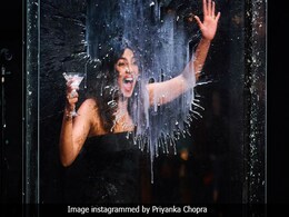 There's Never A Dull Moment With Priyanka Chopra Around, As These Pics Prove There's Never A Dull Moment With Priyanka Chopra Around, As These Pics Prove