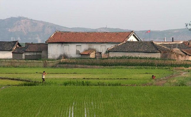 Russia Ships Over 2000 Tonnes Of Wheat As Humanitarian Aid To North Korea