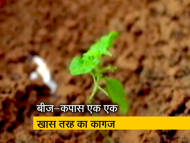 बनेगा स्वच्छ  इंडिया :  बीज-कपास एक खास तरह का कागज