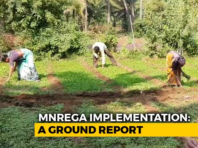 Employment Guarantee Scheme Not Working In Maharashtra, Say Farmers
