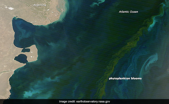 Climate Change Will Alter The Colour Of The Oceans, New Research Finds