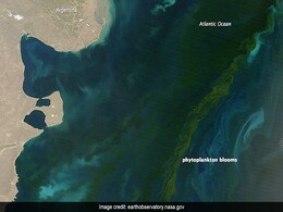 Climate Change Will Alter The Colour Of The Oceans, New Research Finds Climate Change Will Alter The Colour Of The Oceans, New Research Finds