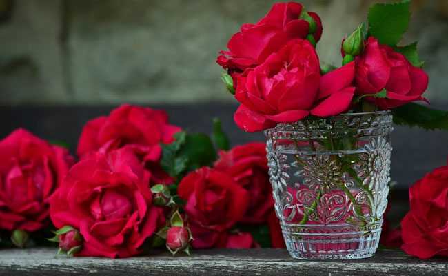Ahead Of Valentine's Day, Nepal To Import Over 1.5 Lakh Roses From India