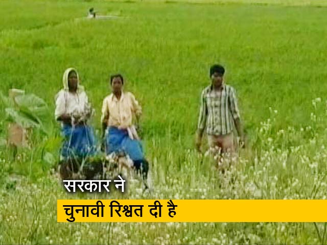 मामूली रकम को पक्का इलाज नहीं मानते हैं किसान