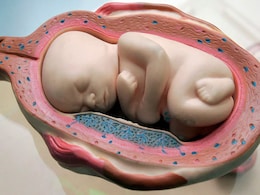 Gene-Edited Twins May Be First Humans With "Accidentally" Enhanced Brains Gene-Edited Twins May Be First Humans With "Accidentally" Enhanced Brains