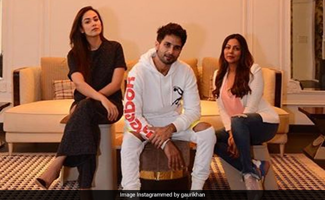 Shahid Kapoor And Mira Rajput Take Us Through Gauri Khan's Store