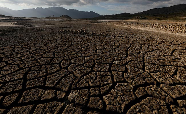 Over 11,000 Scientists Around The World Declare "Climate Emergency"