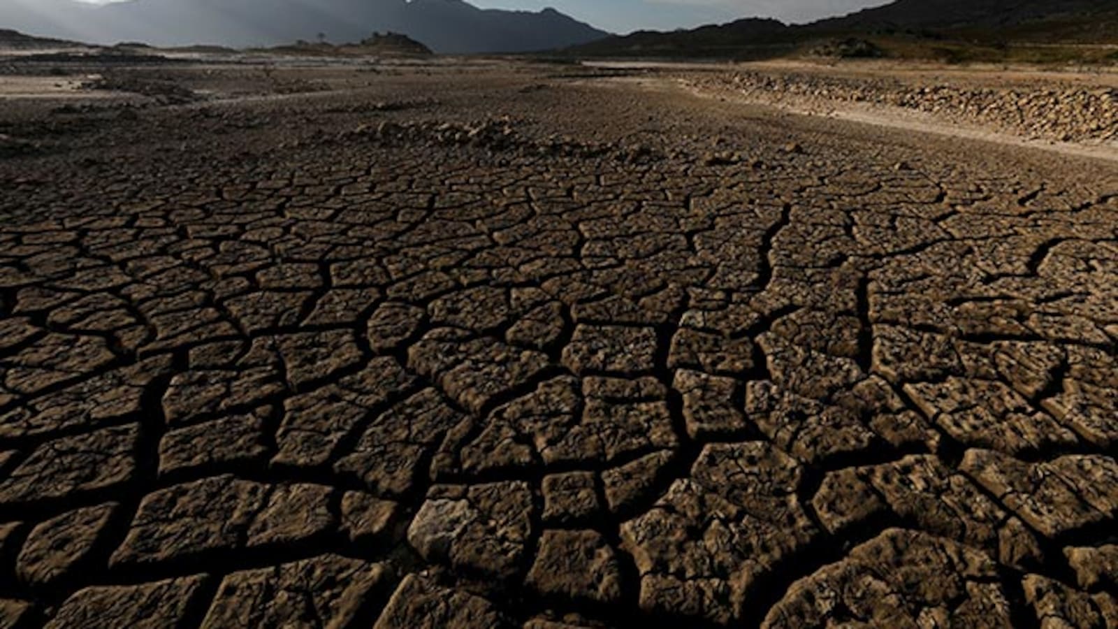 Over 11,000 Scientists Around The World Declare Climate Emergency