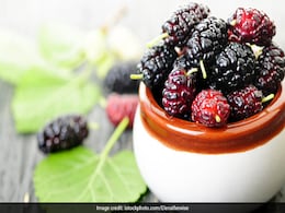 Mulberry For Health: न्यूट्रीशनिस्ट रुजुता दिवेकर ने बताए शहतूत खाने के एक नहीं अनेक फायदे Mulberry For Health: न्यूट्रीशनिस्ट रुजुता दिवेकर ने बताए शहतूत खाने के एक नहीं अनेक फायदे