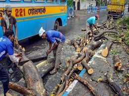 3 Dead As Storm Hits South Bengal, Several Trees Uprooted In Kolkata 3 Dead As Storm Hits South Bengal, Several Trees Uprooted In Kolkata