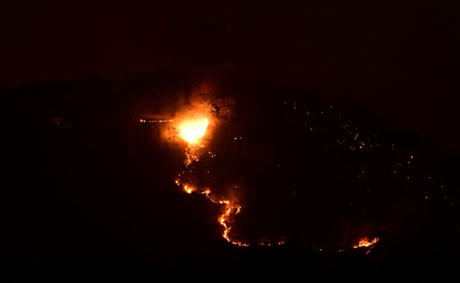 Major Fire Breaks Out At Bandipur Tiger Reserve In Karnataka