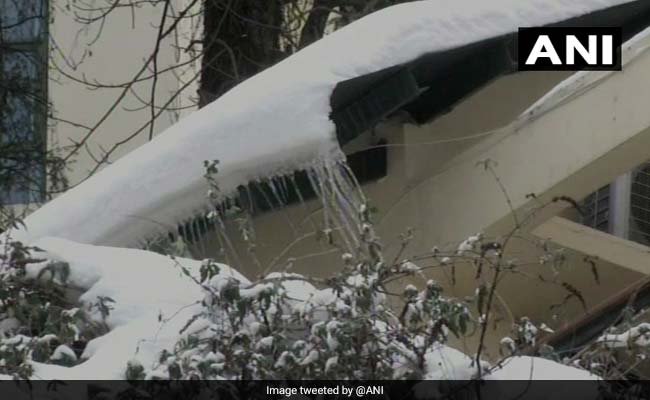 Heavy Snowfall And Avalanche Warning In 5 Districts Of Himachal Pradesh