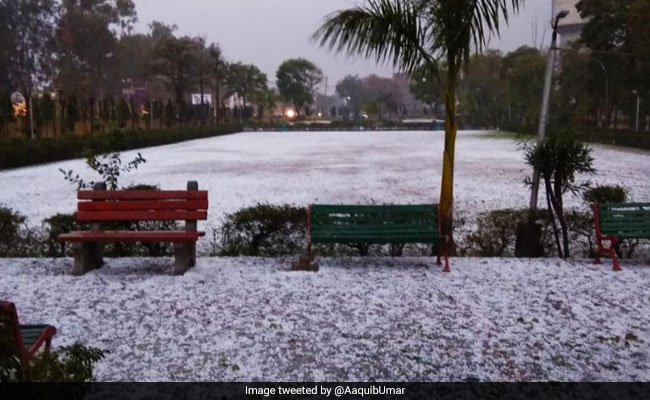 Did It Snow Near Delhi? Thick Blanket Of Hail Leaves Noida White