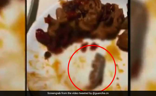 करोड़पति बनने के लिए शख्स ने प्लेट में डाल दिया मरा हुआ चूहा, रेस्टोरेंट वालों ने यूं चखाया मजा