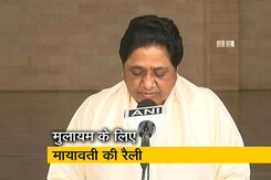 मुलायम सिंह यादव के लिए रैली कर मायावती मांगेंगी वोट मुलायम सिंह यादव के लिए रैली कर मायावती मांगेंगी वोट