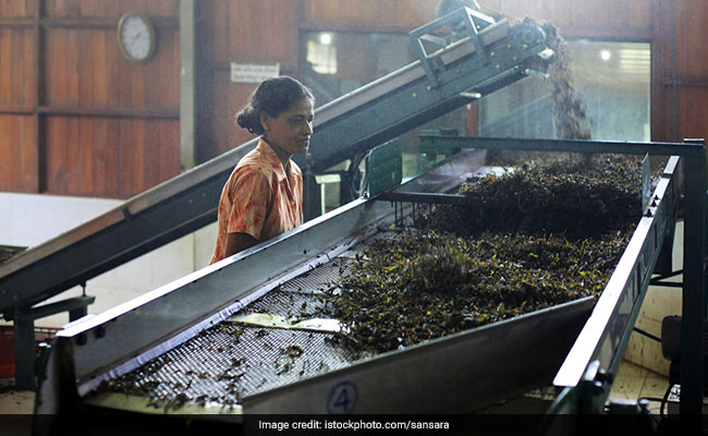Trillions At Stake In India As Women Disappear From Workforce