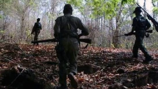71 Maoists, Including 30 Carrying Rs 64 Lakh Bounty, Surrender in Chhattisgarh