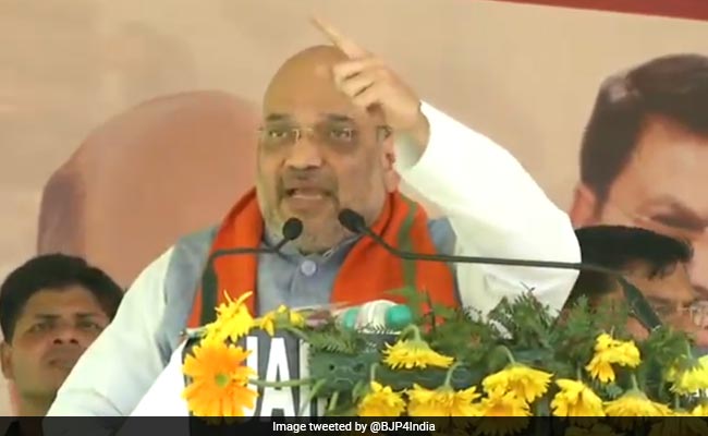 "Rahul Gandhi Fled To Kerala": Amit Shah's Dig On Choice Of Wayanad
