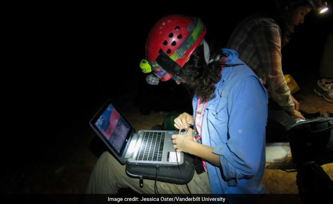 Stalagmite Holds Key To Predicting Droughts, Floods In India: Study