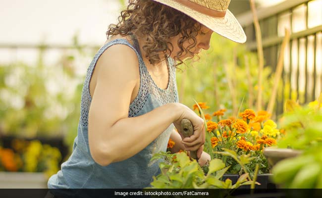 5 Useful Gardening Accessories When You're Developing Your Green Thumb