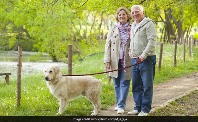 Dog walking may increase risks of bone fractures in older adults