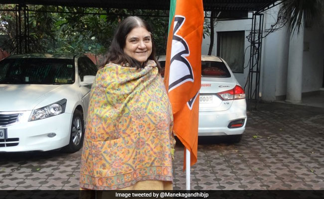 Maneka Gandhi Says Soap Made Of Donkey's Milk Makes Women Beautiful: "Cleopatra Used To Bathe In It"