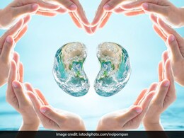 World Kidney Day 2021: Significance, Theme And Expert Diet Tips