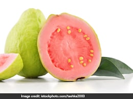 Guava Fruit Benefits: अमरूद को मानते हैं सर्दियों का सबसे पावरफुल फ्रूट, जानिए इस विंटर सुपरफ्रूट को खाने के गजब फायदे Guava Fruit Benefits: अमरूद को मानते हैं सर्दियों का सबसे पावरफुल फ्रूट, जानिए इस विंटर सुपरफ्रूट को खाने के गजब फायदे